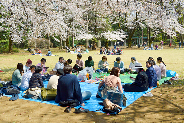 2019hanami19.jpg