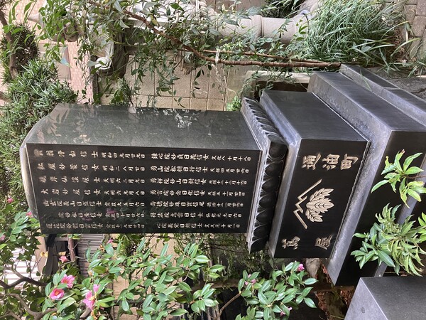 Image_20250821_164800_588.jpeg