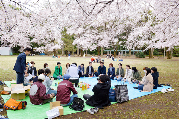 hanami_01.jpg