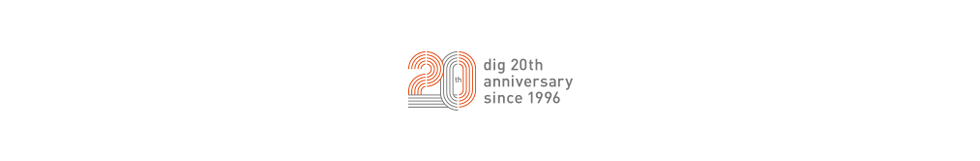 dig 20th anniversary