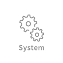 System